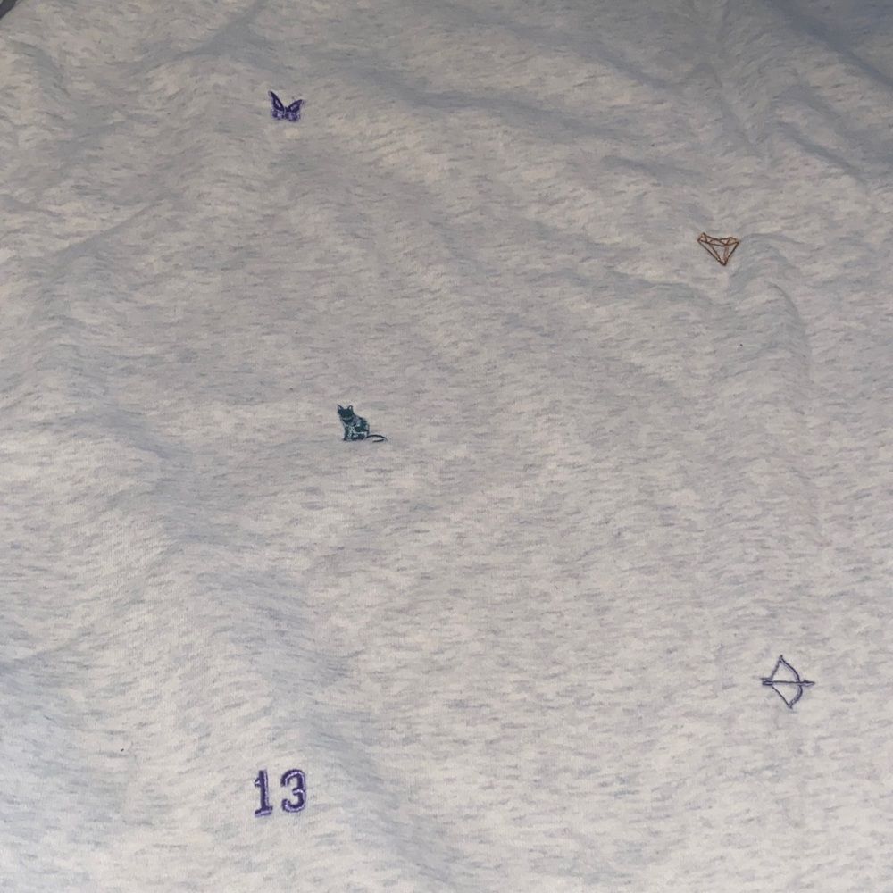 Eras Charm Crew Gray Graphic Sweat Shirt  Embroidered Designs 5X Taylor Swift